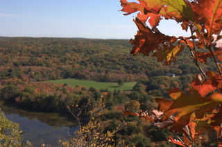 Illustration for article titled Shooting Challenge Fall Leaves Gallery 6
